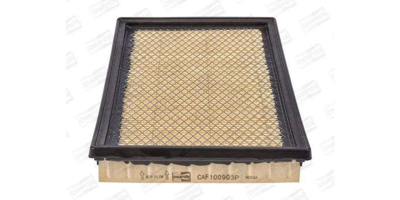 Caf100903P A/Filter Ag1310Gud