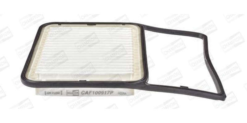 Caf100917P Air Filter Ag1408