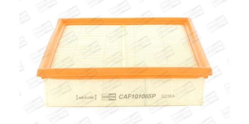 Caf101065P Air Filter