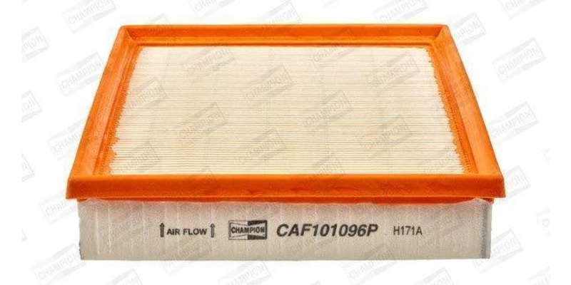 Caf101096P Air Filter Ag1563