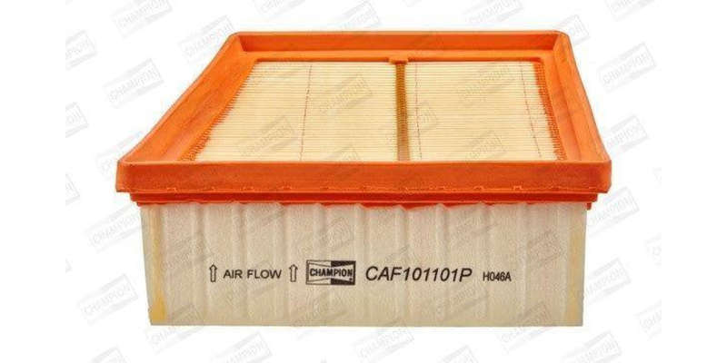 Caf101101P Air Filter Ag1434