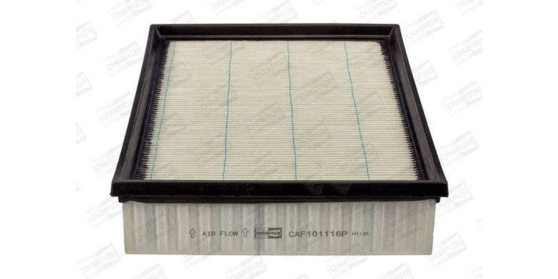 Caf101116P Air Filter Ag1477