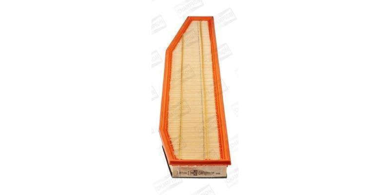 Caf101117P Air Filter Ag1483