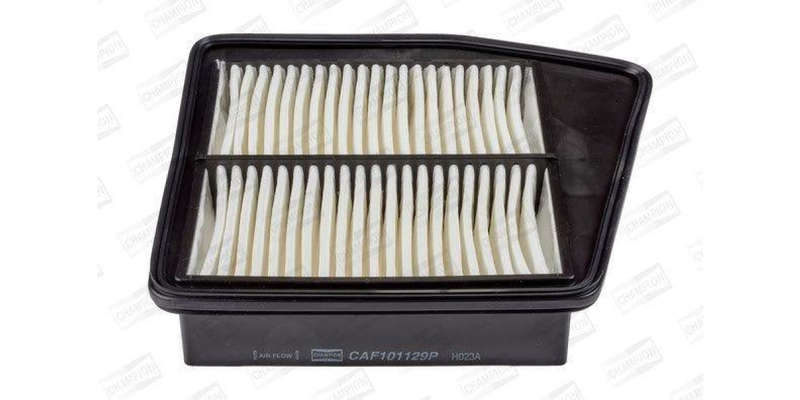 Caf101129P Air Filter