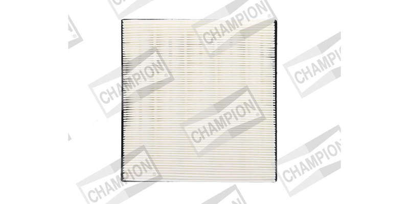 Caf101147P Air Filter Panel