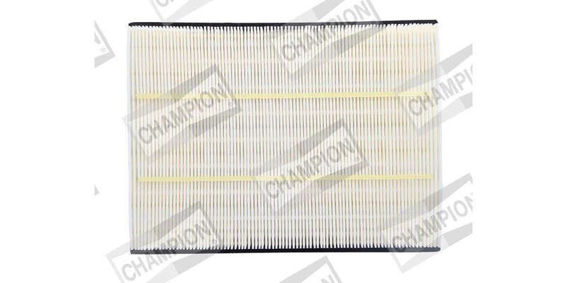 Caf101149P Air Filter Ag1117
