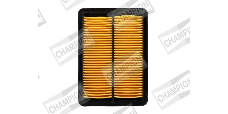 Caf101169P Air Filter Ag1543