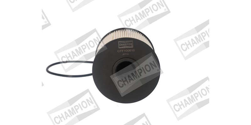 Cff100610 Fuel Filter M22Gud
