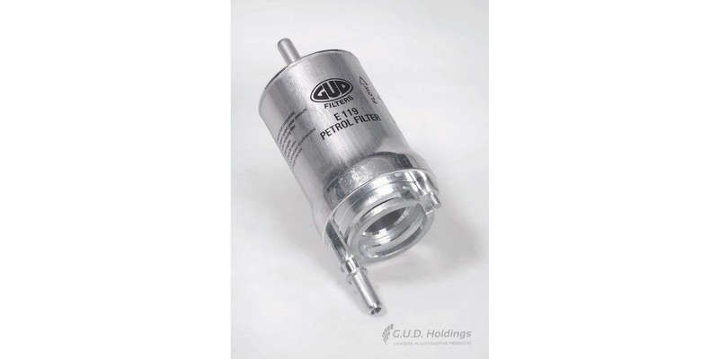 E119 Petrol Filter Audi & Volkswagen Models (GUD)