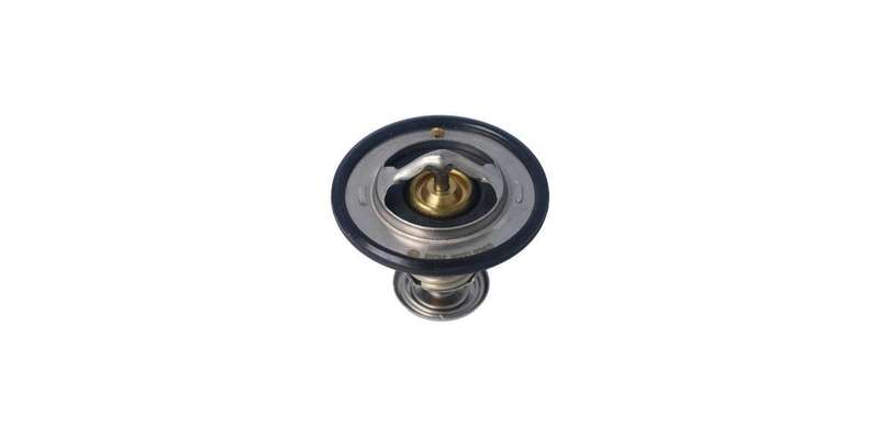 Echlin Thermostat (2368)