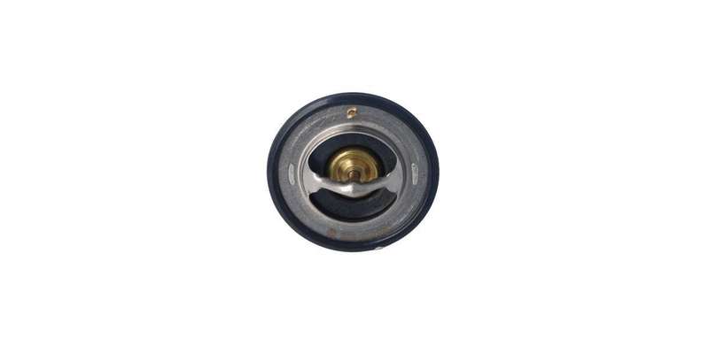 Echlin Thermostat (2368)
