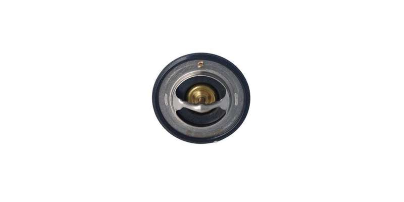 Echlin Thermostat (2368)