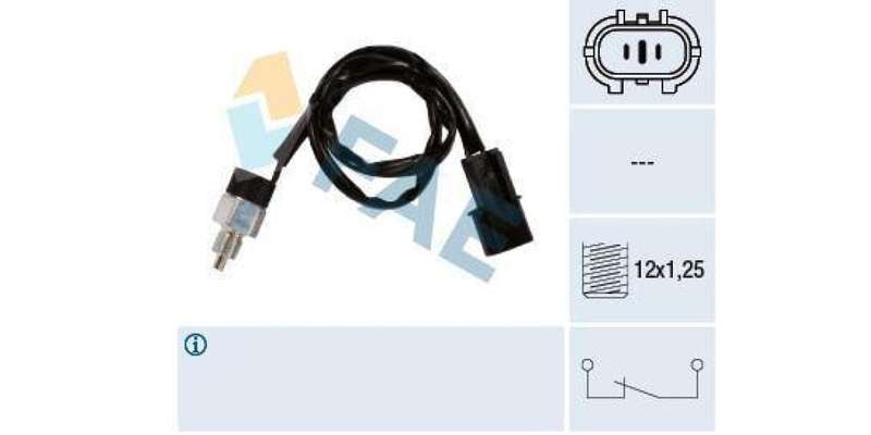 Fae-Reverse Light Switch 2Pin M12X1 25 (41246)
