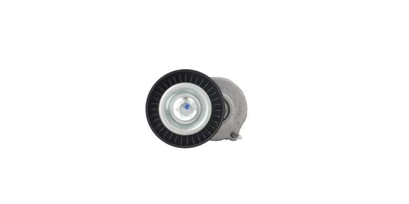 Fanbelt Tensioner Golf Tdi Polo (5630-113)