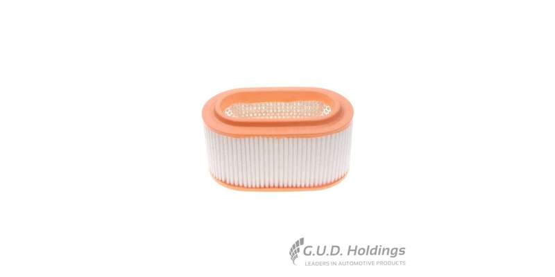 Fram Air Filter CA10564