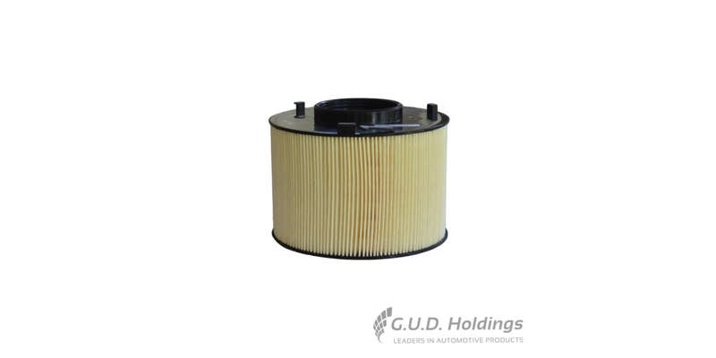 Fram Air Filter CA12575