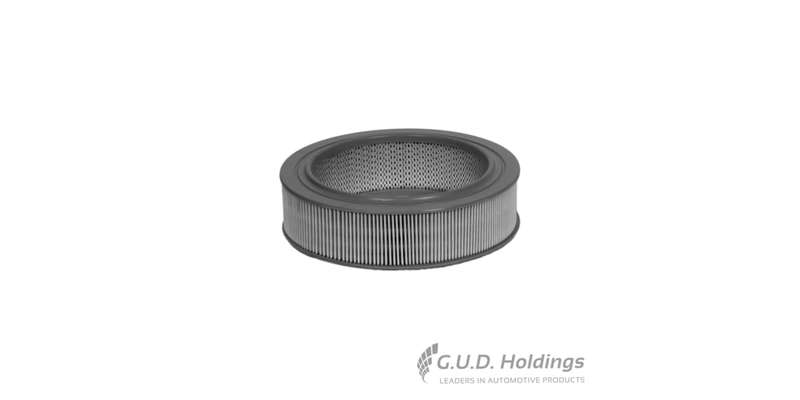 Fram Air Filter CA4171