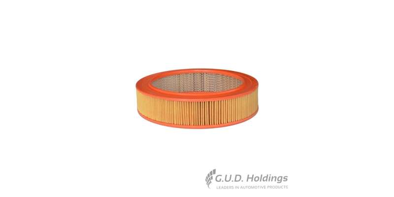 Fram Air Filter CA4325