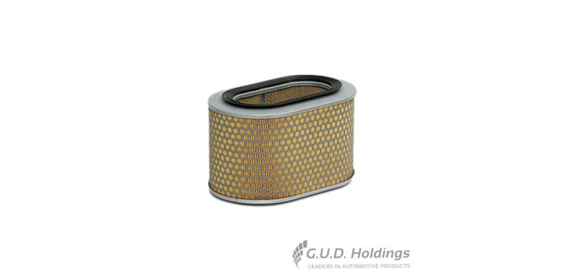 Fram Air Filter CA4369