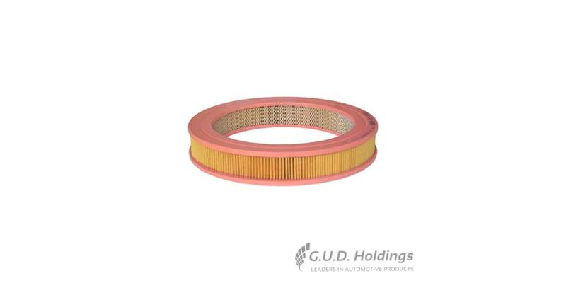 Fram Air Filter CA4958
