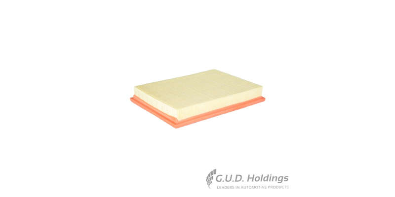 Fram Air Filter CA8817