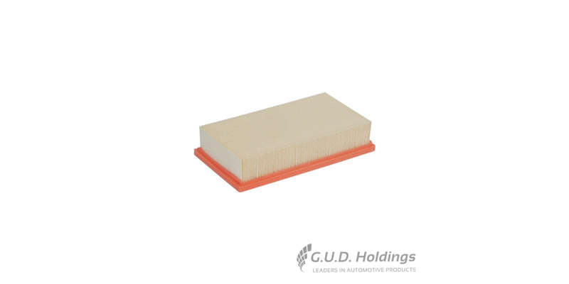 Fram Air Filter CA8919