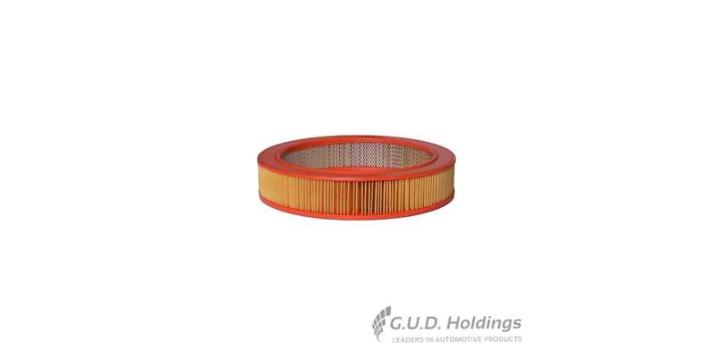 Fram Air Filter Ford Escort 1600 CA2701