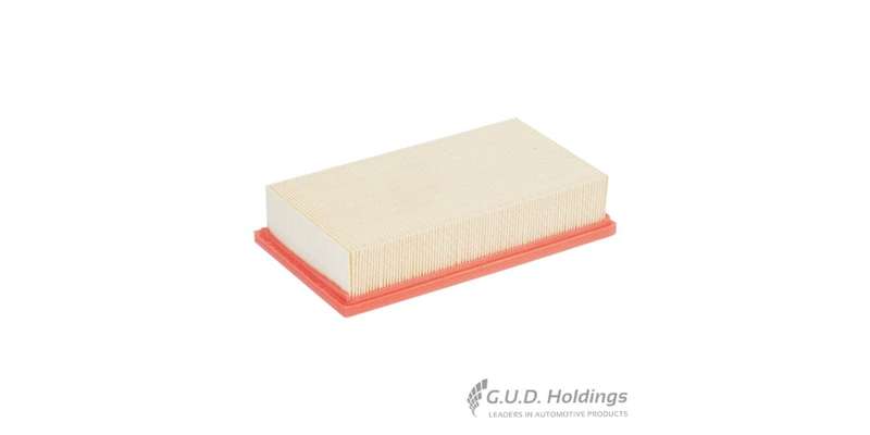 Fram Air Filter Ford Focus Ii 1.6/1.8 CA9694