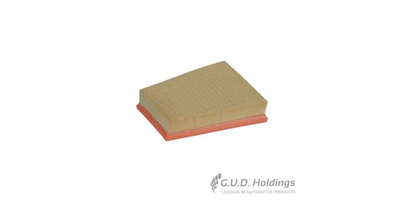Fram Air Filter Nissan Qashqai/ X-Trail CA10654