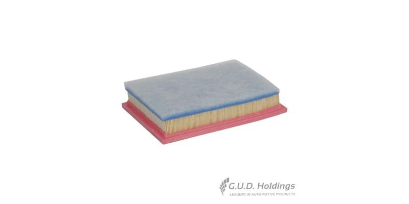 Fram Air Filter Peugeot CA9622