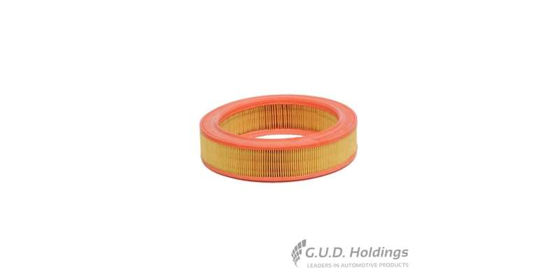 Fram Air Filter Renault R9 CA4354