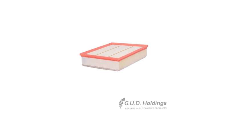 Fram Air Filter Vw Crafter Ii CA12563