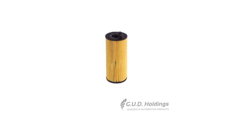 Fram Oil Filter Bmw CH11217ECO