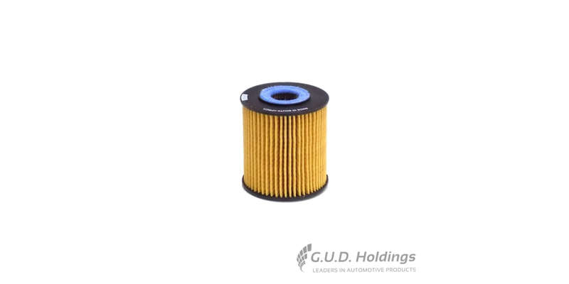 Fram Oil Filter Er CH9348ECO