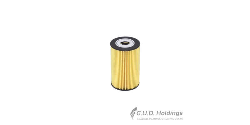 Fram Oil Filter Hyundai/Kia CH10670ECO