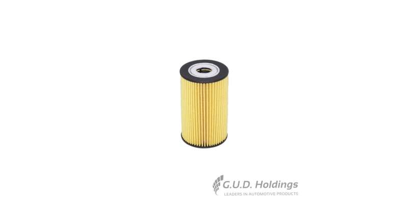 Fram Oil Filter Hyundai/Kia CH10670ECO