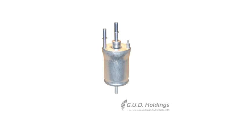 Fram Petrol Filter Audi/ Seat & Vw G10243