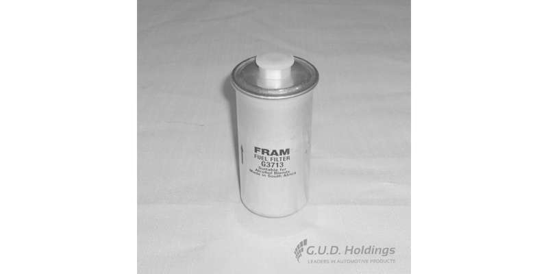 Fram Petrol Filter G3713