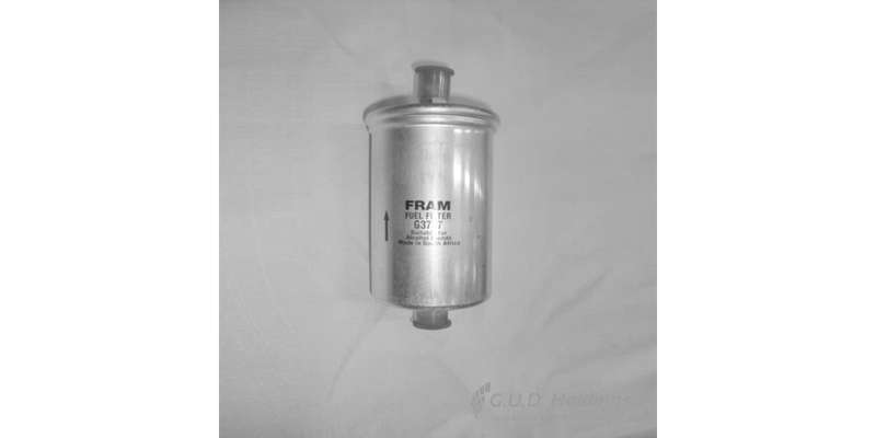 Fram Petrol Filter G3737