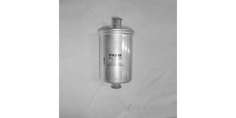 Fram Petrol Filter G3737