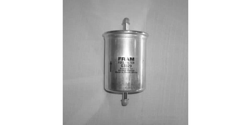 Fram Petrol Filter G3829