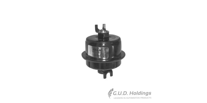 Fram Petrol Filter G5348