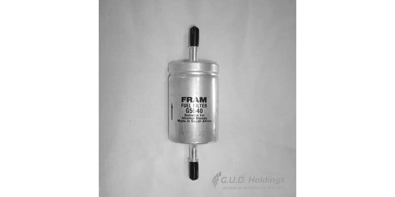 Fram Petrol Filter G5540