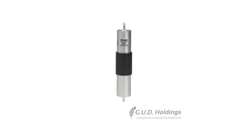 Fram Petrol Filter G5774