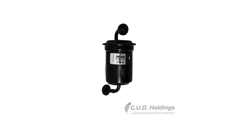 Fram Petrol Filter G5983