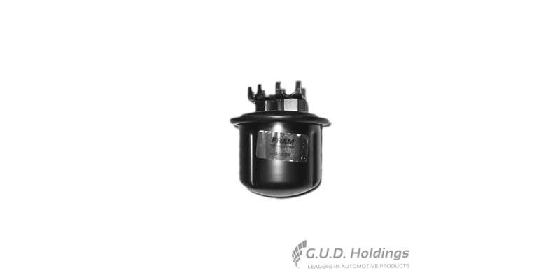 Fram Petrol Filter G6534