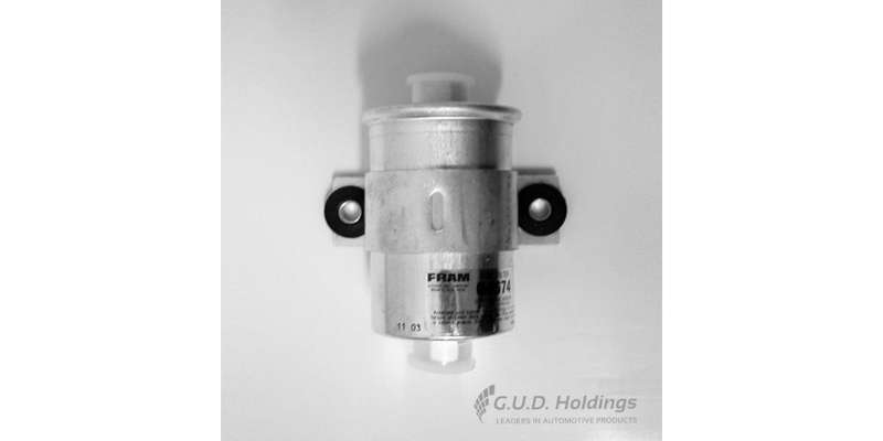 Fram Petrol Filter G6674