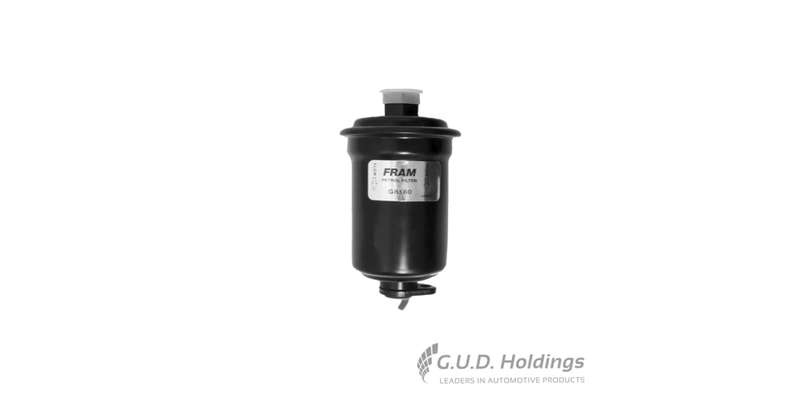Fram Petrol Filter G8160