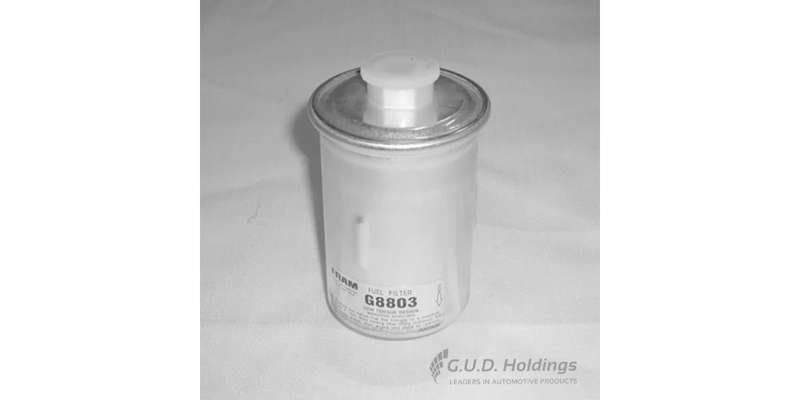 Fram Petrol Filter G8803