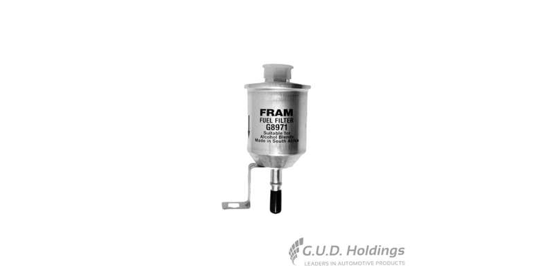 Fram Petrol Filter G8971